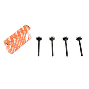 Válvula Escape Asia Motors Topic 715 725 2.7 8v Diesel